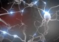Childhood Adversity Alters Brain Development, Research Finds