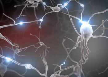 Childhood Adversity Alters Brain Development, Research Finds