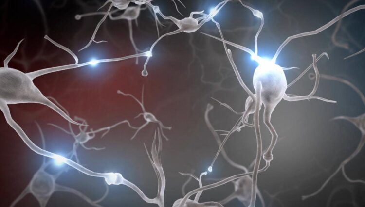 Childhood Adversity Alters Brain Development, Research Finds