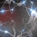 Childhood Adversity Alters Brain Development, Research Finds