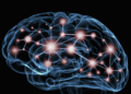 Depression Enlarges Brain Network, Study Indicates