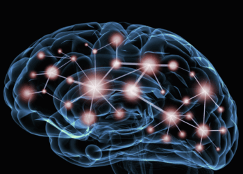 Depression Enlarges Brain Network, Study Indicates