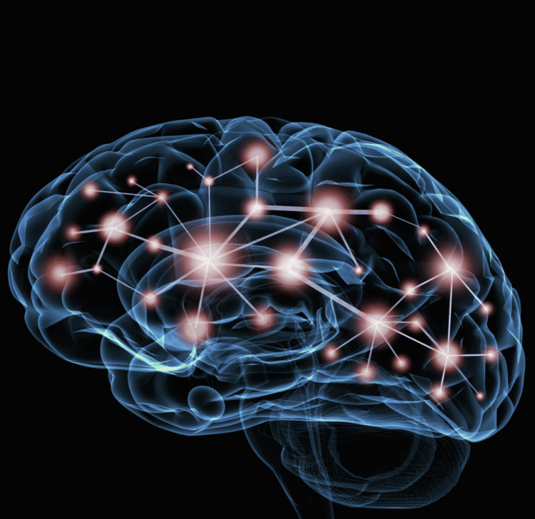 Depression Enlarges Brain Network, Study Indicates
