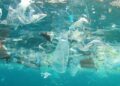 Microplastics Fuel Antibiotic Resistance, Study Finds