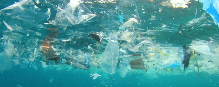 Microplastics Fuel Antibiotic Resistance, Study Finds