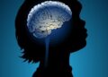 Childhood Adversity Impacts Brain Development