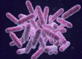 Microplastics Fuel Antibiotic Resistance, Study Finds