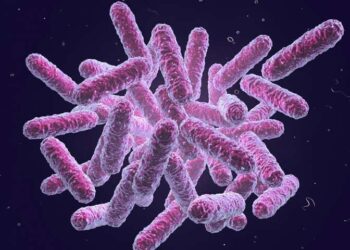 Microplastics Fuel Antibiotic Resistance, Study Finds