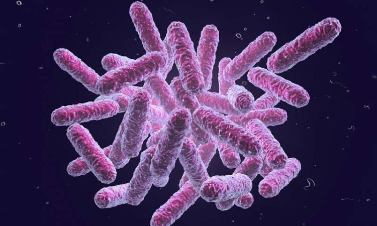 Microplastics Fuel Antibiotic Resistance, Study Finds