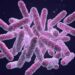 Microplastics Fuel Antibiotic Resistance, Study Finds