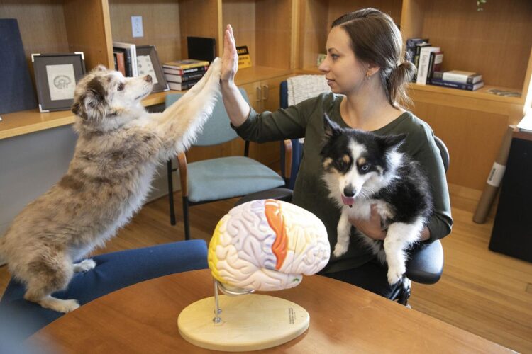 Brains of Humans and Dogs Can Sync