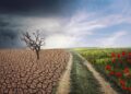 Climate Change Fuels Mental Health Crisis