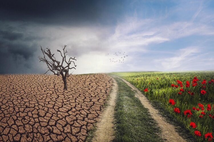 Climate Change Fuels Mental Health Crisis