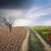 Climate Change Fuels Mental Health Crisis